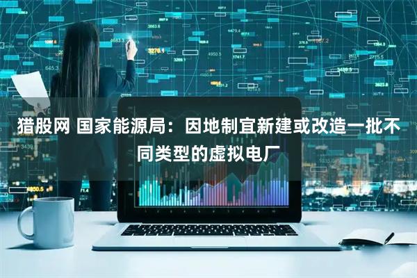 猎股网 国家能源局：因地制宜新建或改造一批不同类型的虚拟电厂