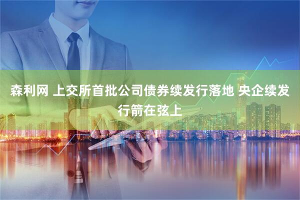 森利网 上交所首批公司债券续发行落地 央企续发行箭在弦上
