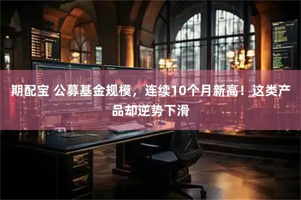 期配宝 公募基金规模,连续10个月新高!这类产品却逆势下滑