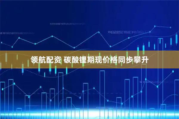 领航配资 碳酸锂期现价格同步攀升