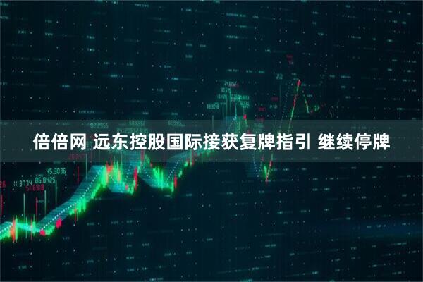 倍倍网 远东控股国际接获复牌指引 继续停牌